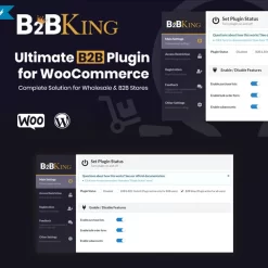 B2BKing The Ultimate WooCommerce B2B Wholesale Plugin