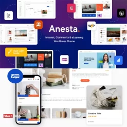 Anesta - Intranet, Extranet, Community, and BuddyPress WordPress Theme