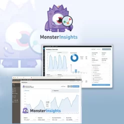 MonsterInsights Pro - Google Analytics Plugin