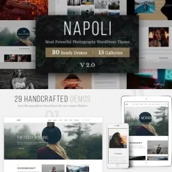 Napoli v2.2.9 - WordPress Theme