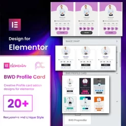 BWD Profile Card v1.0 - WordPress plugin