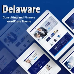 Delaware - Consulting and Finance WordPress Theme